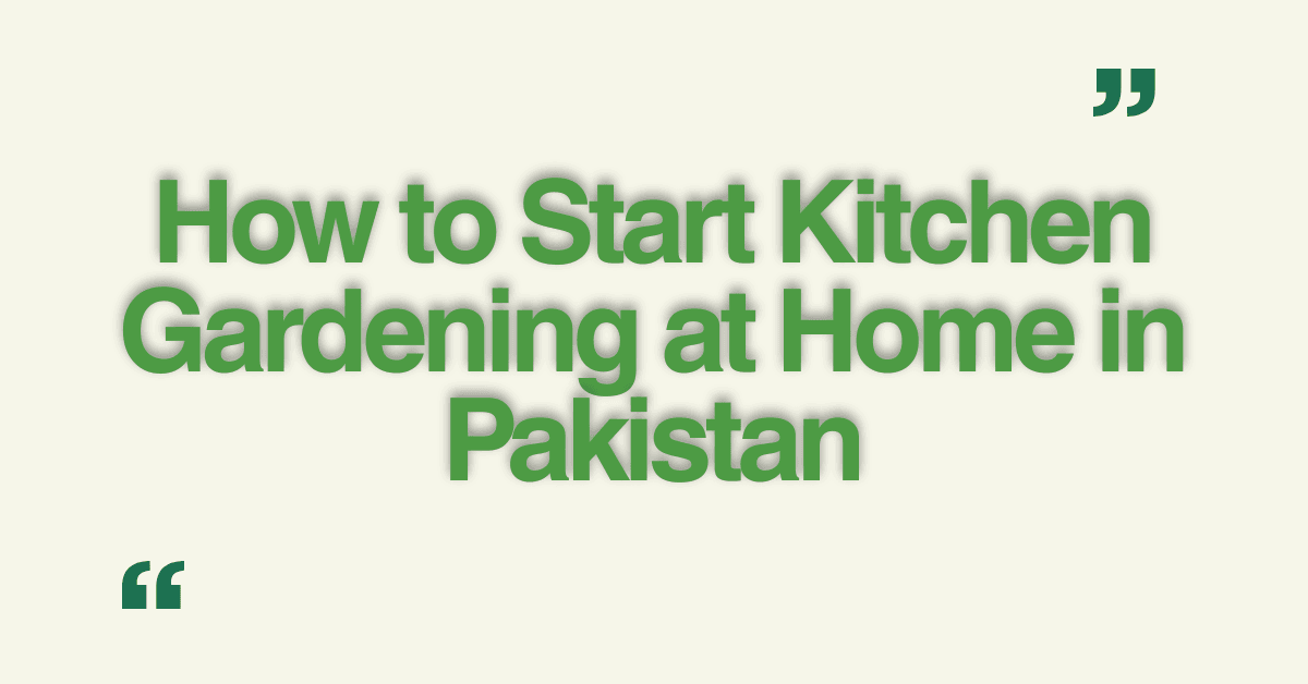 How to Start Kitchen Gardening at Home in Pakistan