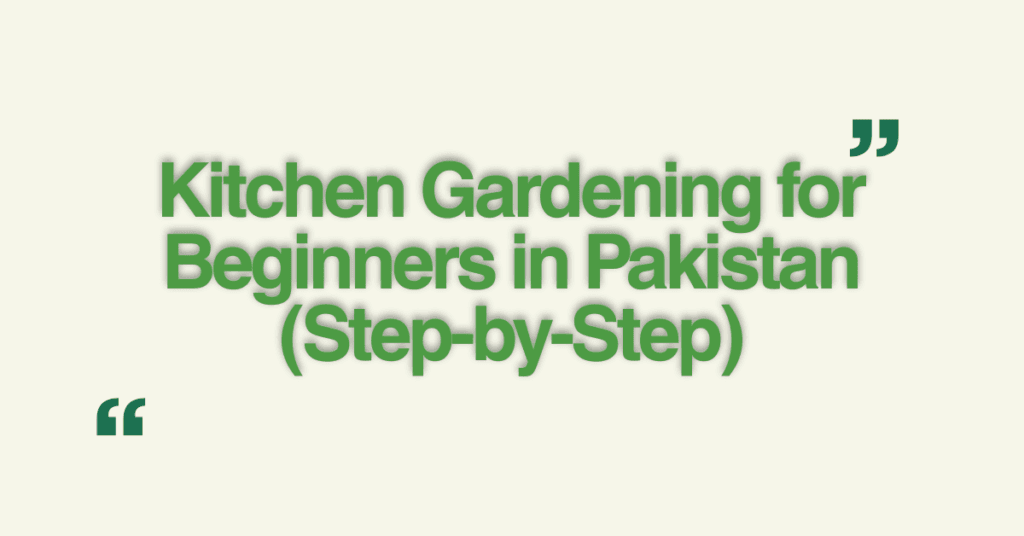 Kitchen Gardening for Beginners in Pakistan (Step-by-Step)