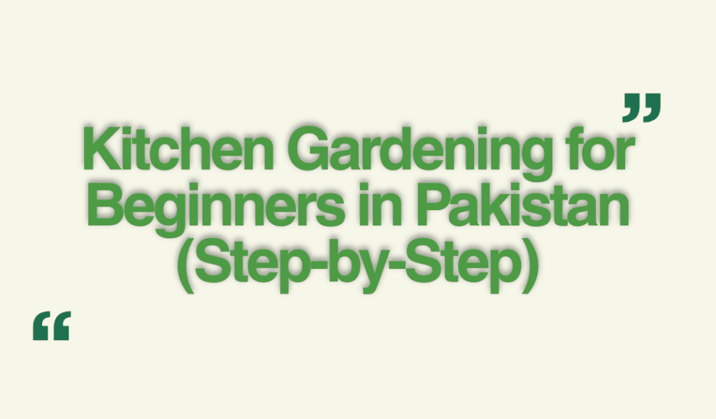 Kitchen Gardening for Beginners