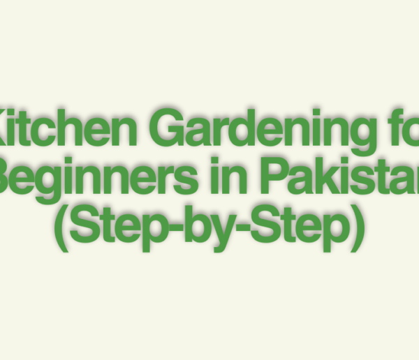 Kitchen Gardening for Beginners