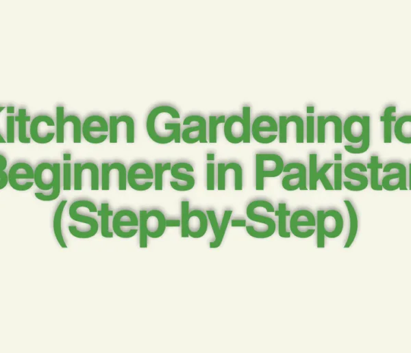 Kitchen Gardening for Beginners
