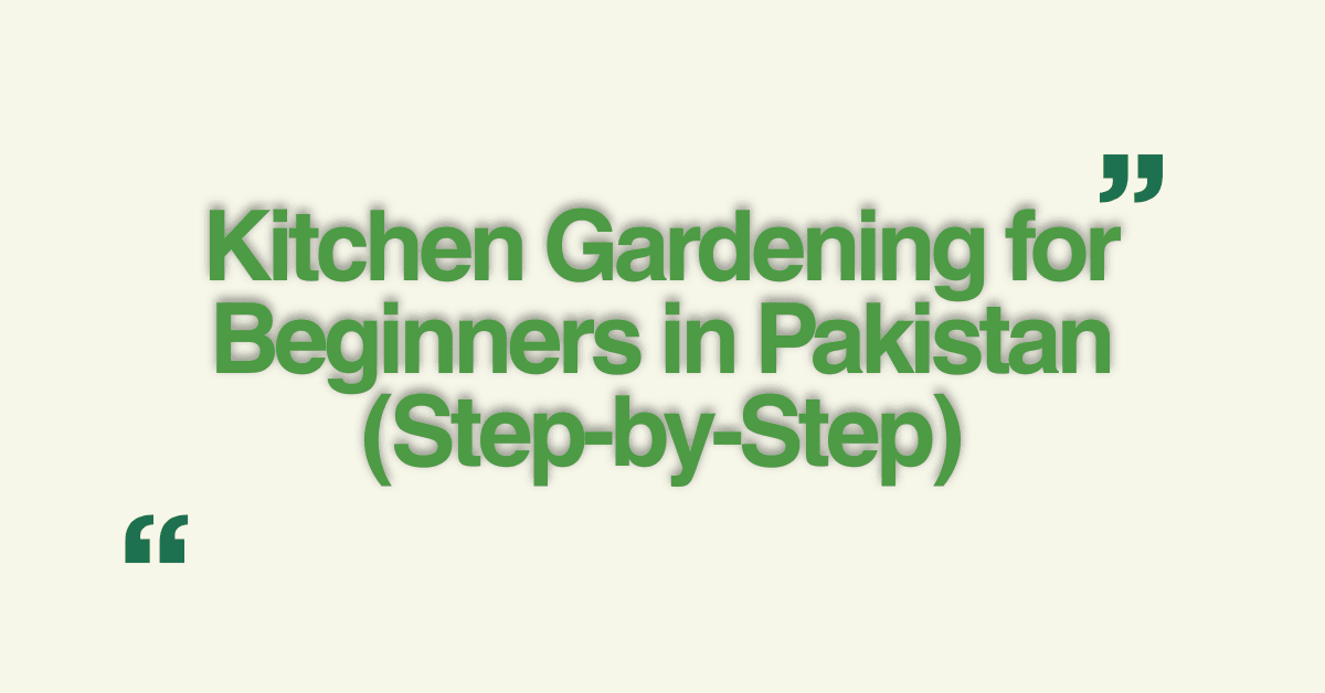 Kitchen Gardening for Beginners