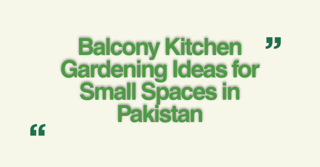 Balcony Kitchen Gardening Ideas for Small Spaces in Pakistan