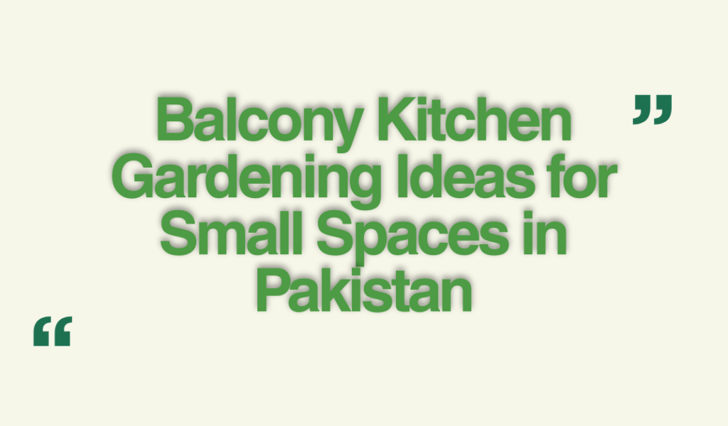 Balcony Kitchen Gardening Ideas for Small Spaces in Pakistan
