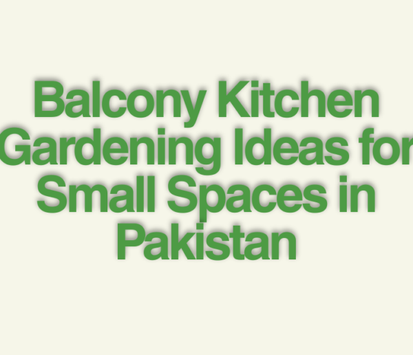 Balcony Kitchen Gardening Ideas for Small Spaces in Pakistan