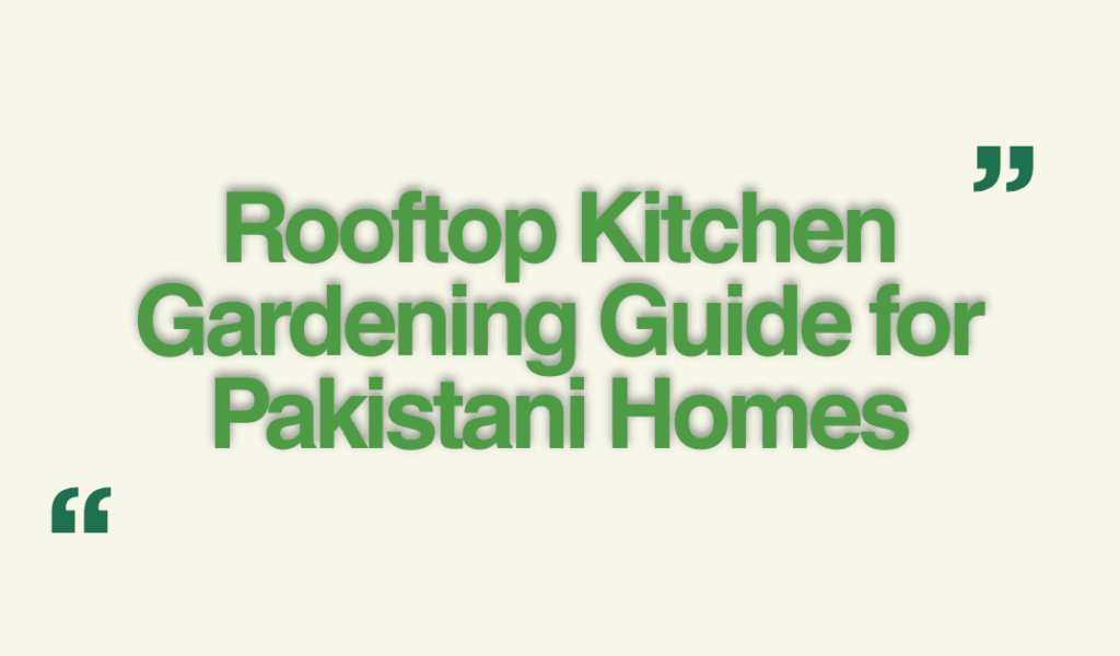 rooftop gardening Pakistan