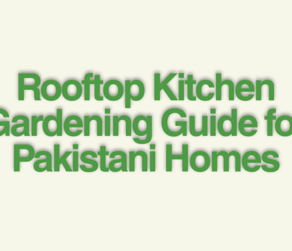 rooftop gardening Pakistan