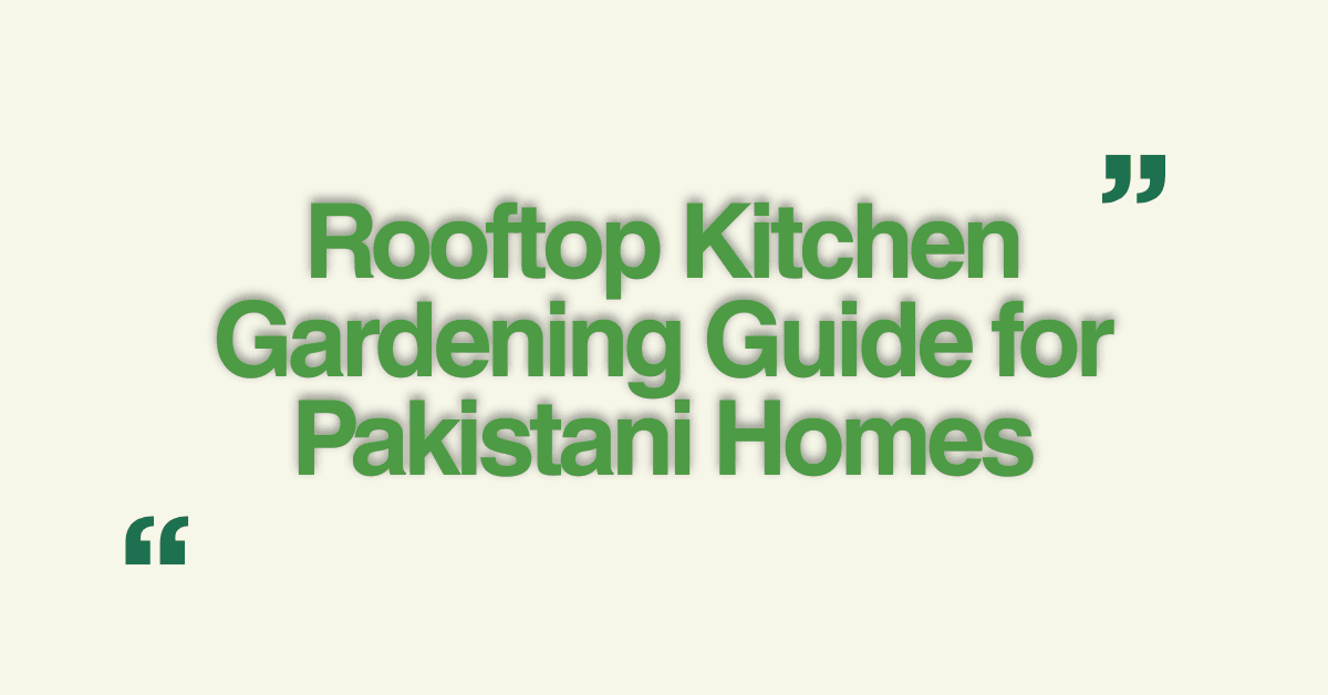 rooftop gardening Pakistan