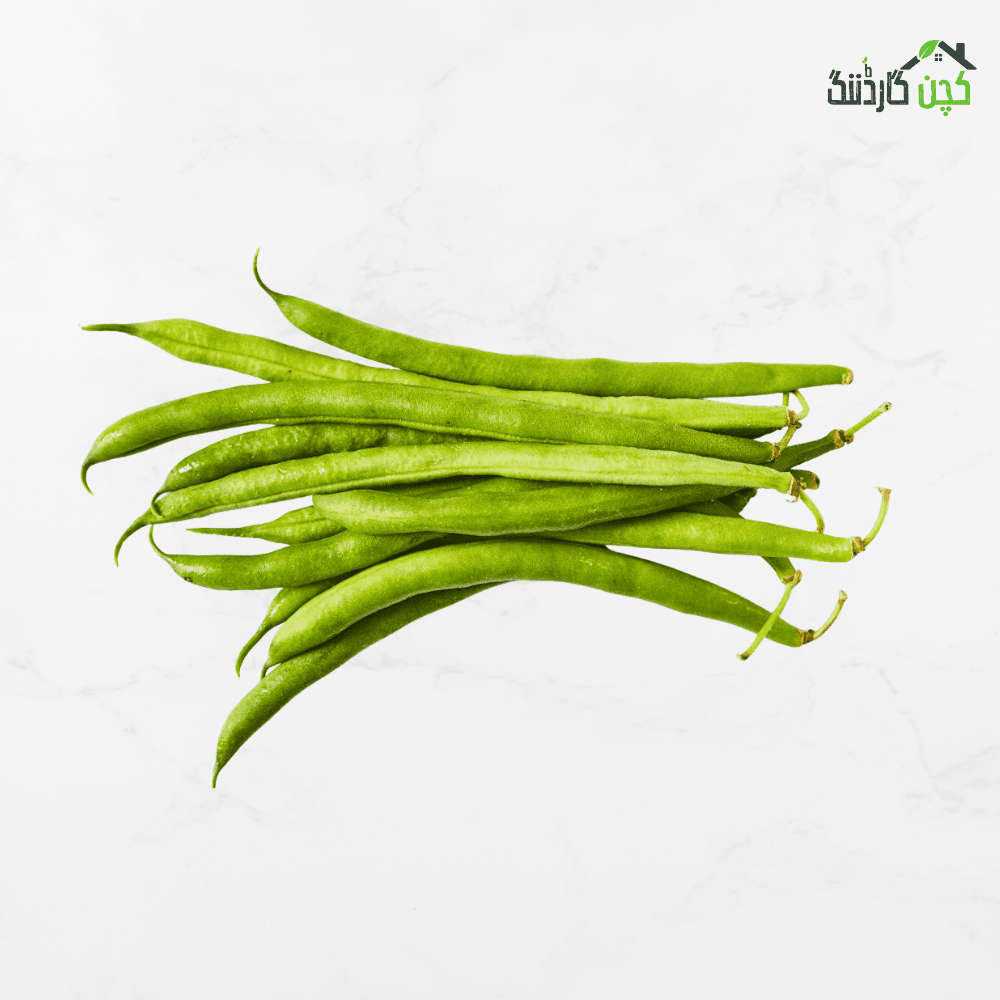 Bush Beans