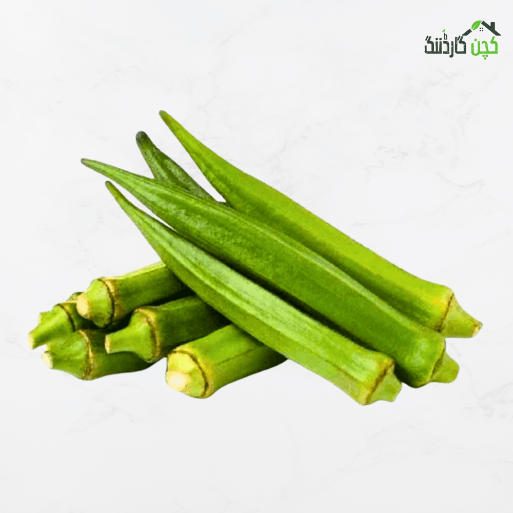 Okra Seeds in Pakistan – Buy Quick Harvesting Okra Seeds Online | kitchengardening.pk (25/50/100 Seeds)