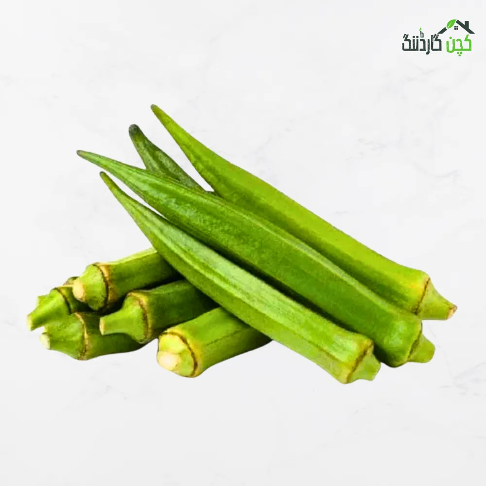 Bhindi (Okra ) Seeds