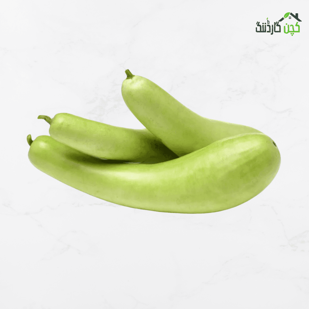 Bottle Gourd (Loki) Seeds