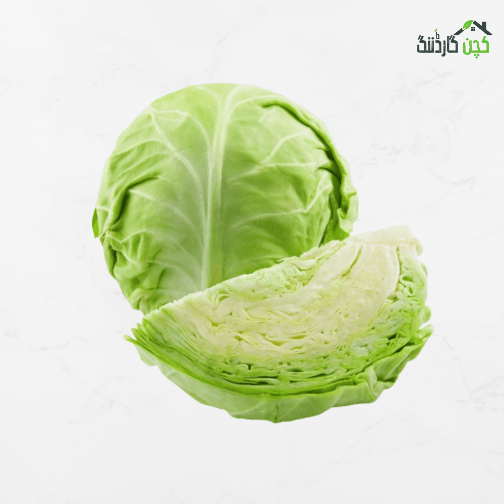 Cabbage