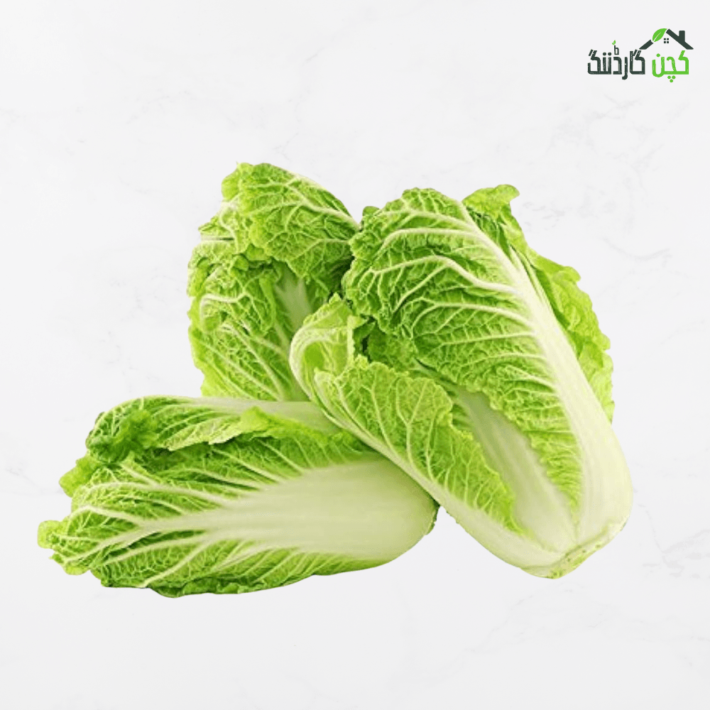Chinese Cabbage Seeds