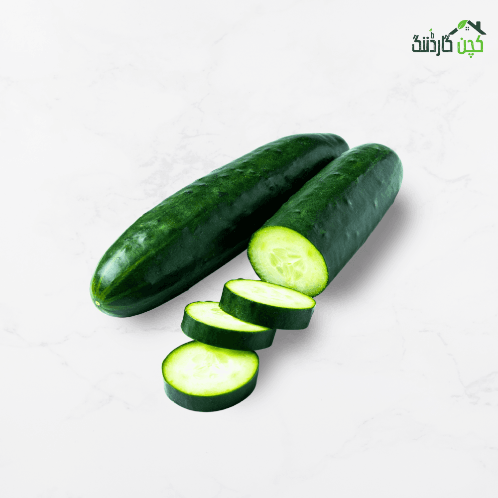 Cucumber Seed