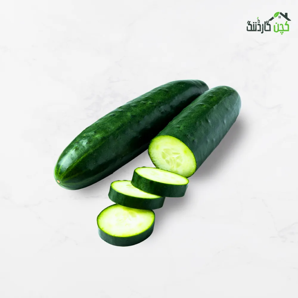 Cucumber Seed