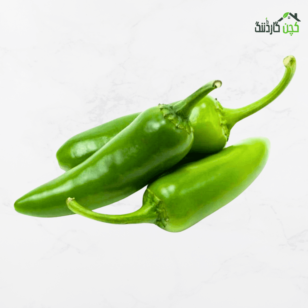 Desi Green Chilli