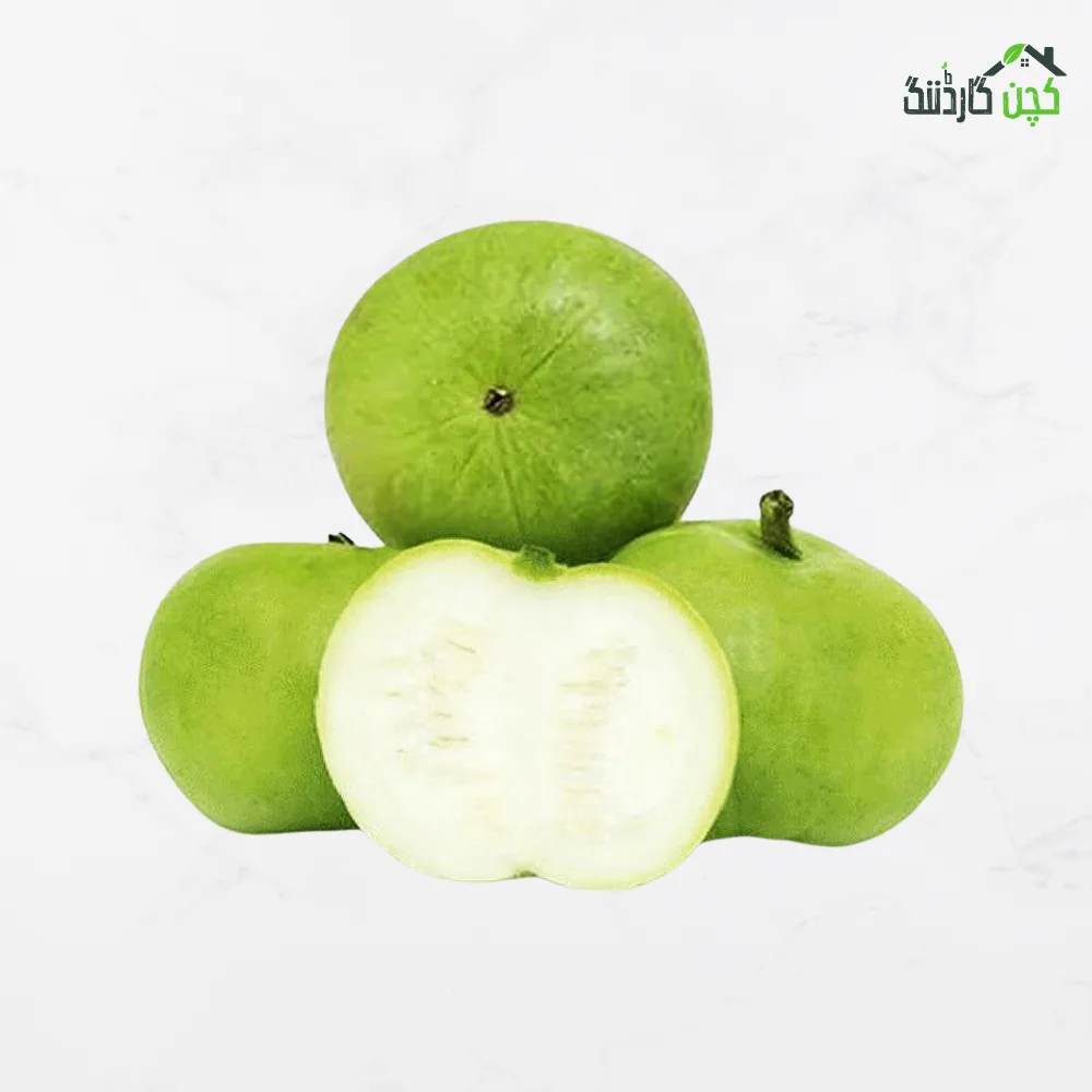 Apple Gourd (Tinda) Seeds