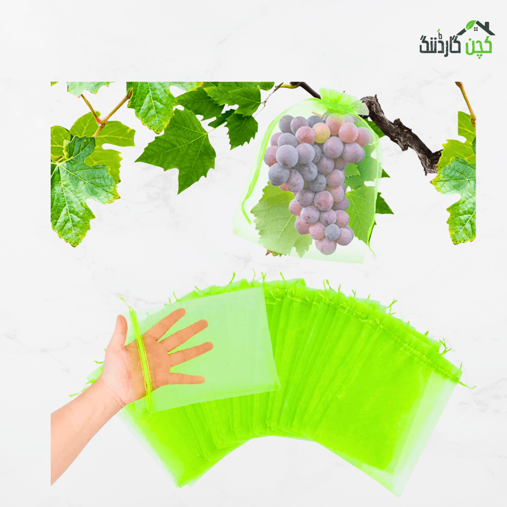 Fruit Protection Pouches