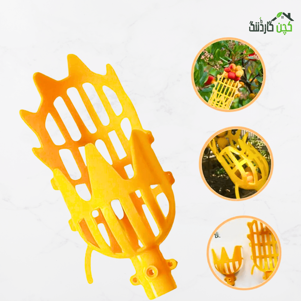 Fruit Catch Fruit Picker
