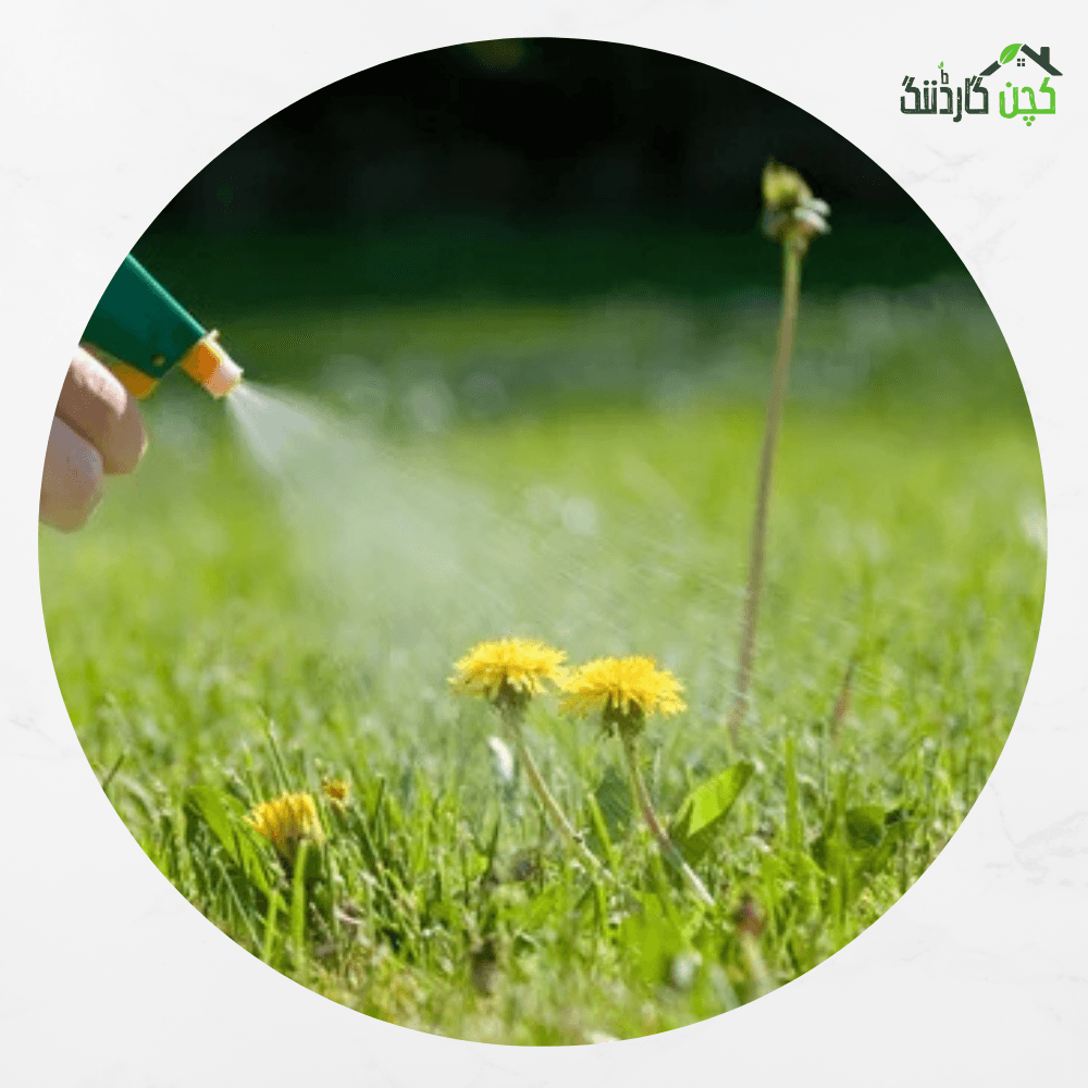 Ready to use Spray for Herbicide 100ml – Buy Effective Weed Control Online | kitchengardening.pk (100ml)