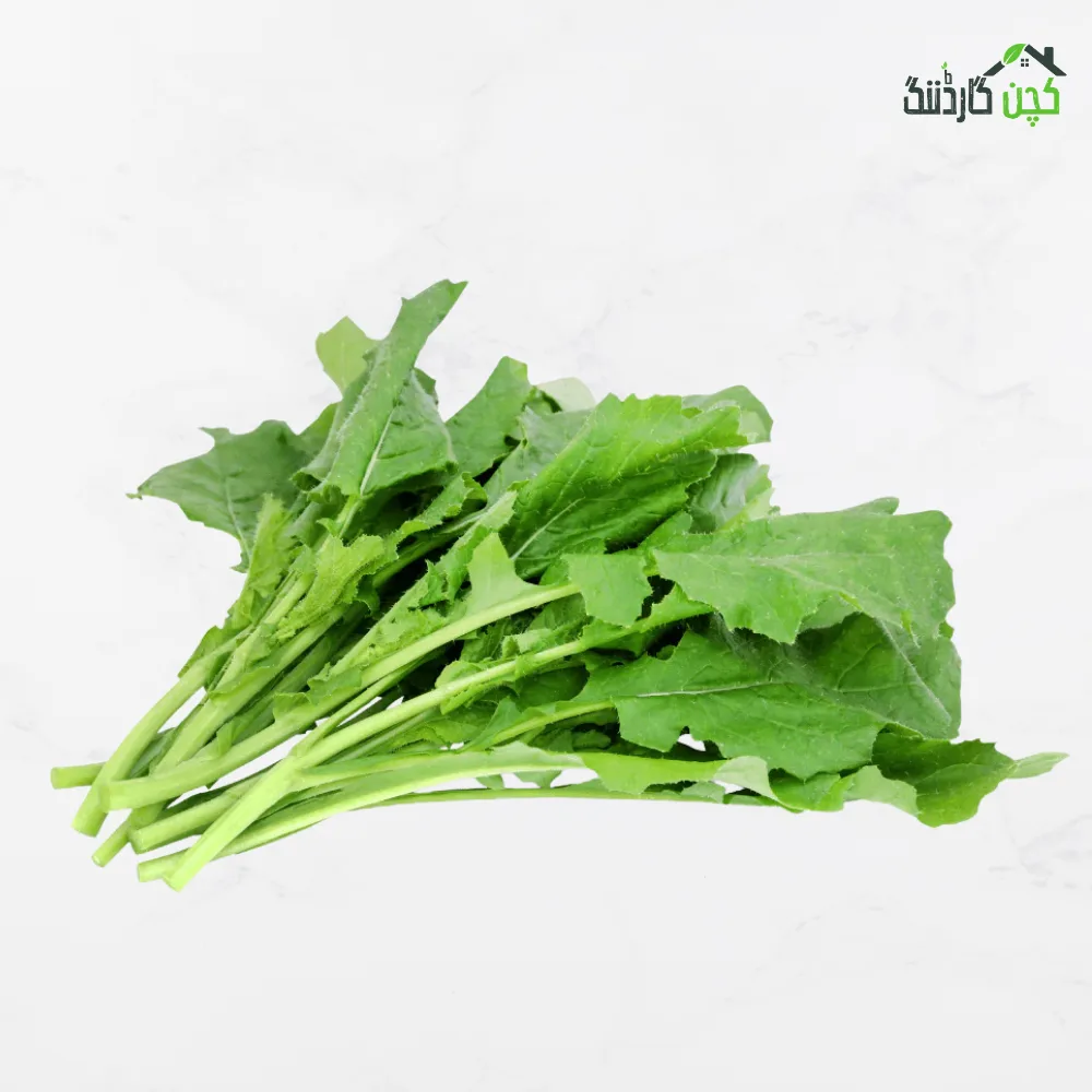 Saag seed