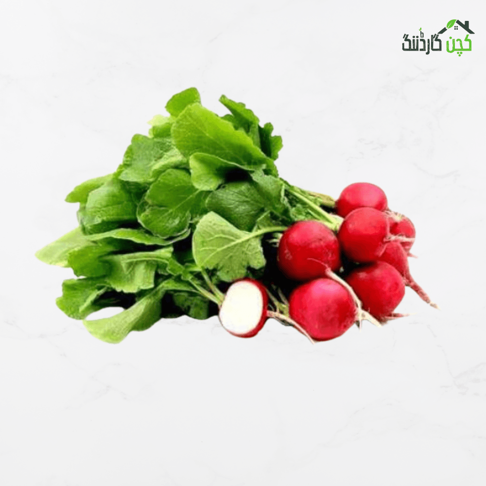 china reddish Seed