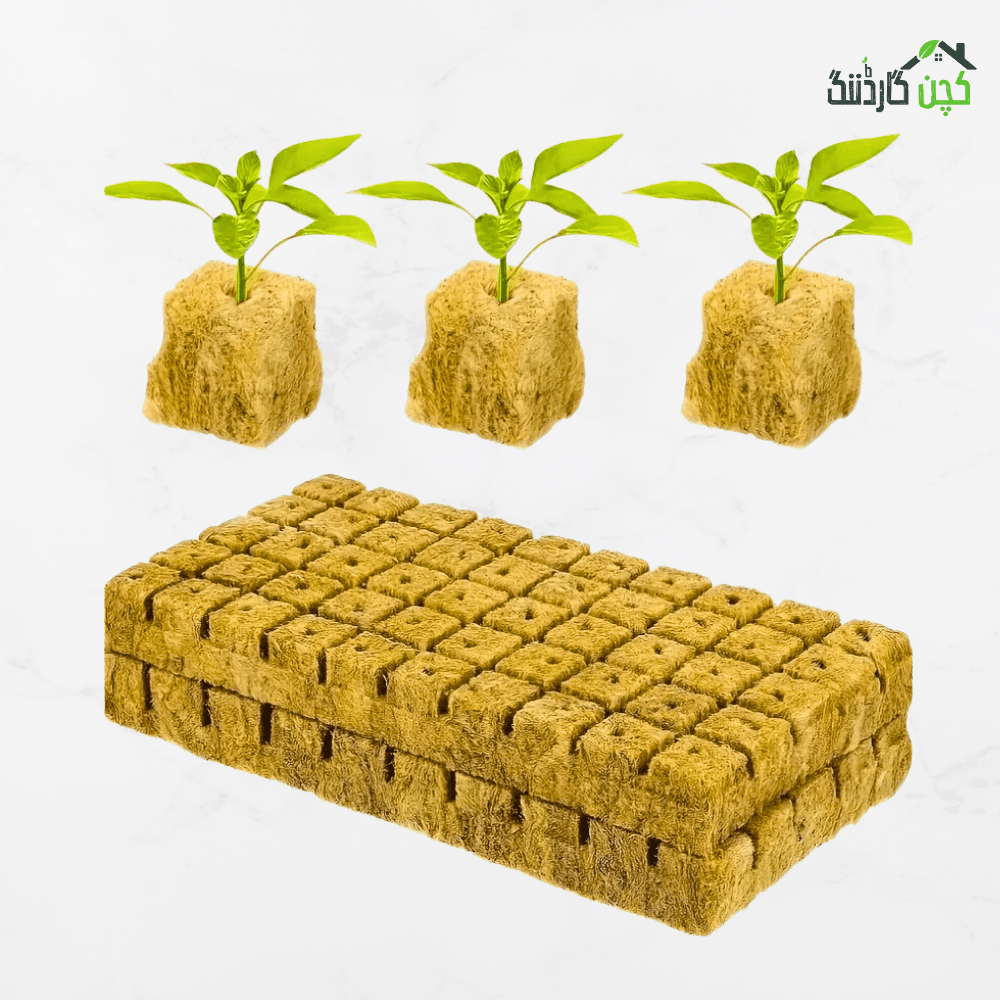 Hydroponic Grow Cubes