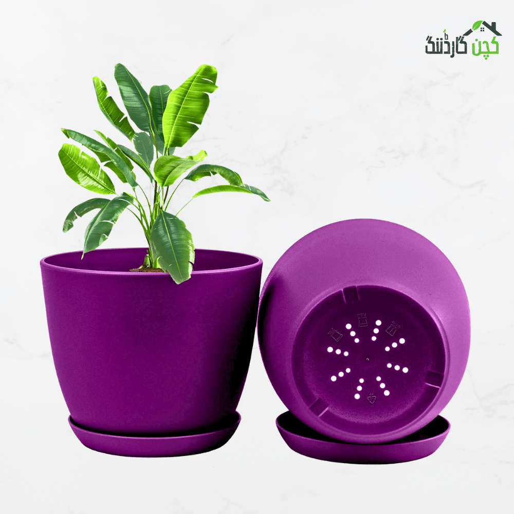 Imported Pots