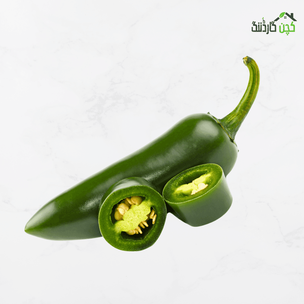 Jalapeño