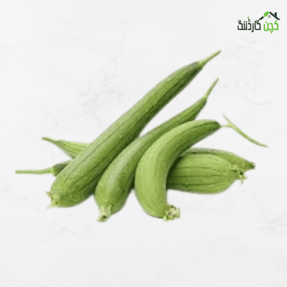 Zucchini (Kali Tori) Seeds in Pakistan – Buy High-Yield Zucchini Online | Perfect for Kitchen Gardens | kitchengardening.pk (25, 50, 100 Seeds)
