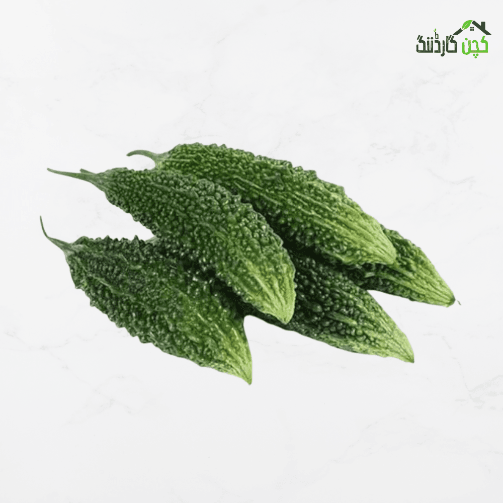 Bitter Gourd (Karela) Seeds