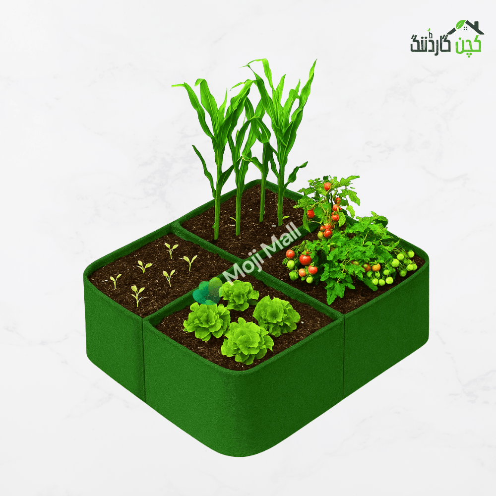 Kiyari Grow Bag