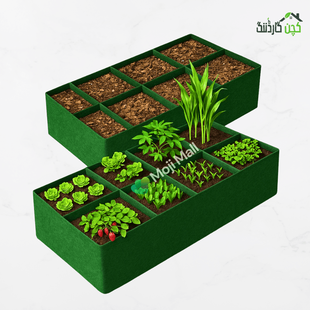 Kiyari Grow Bag