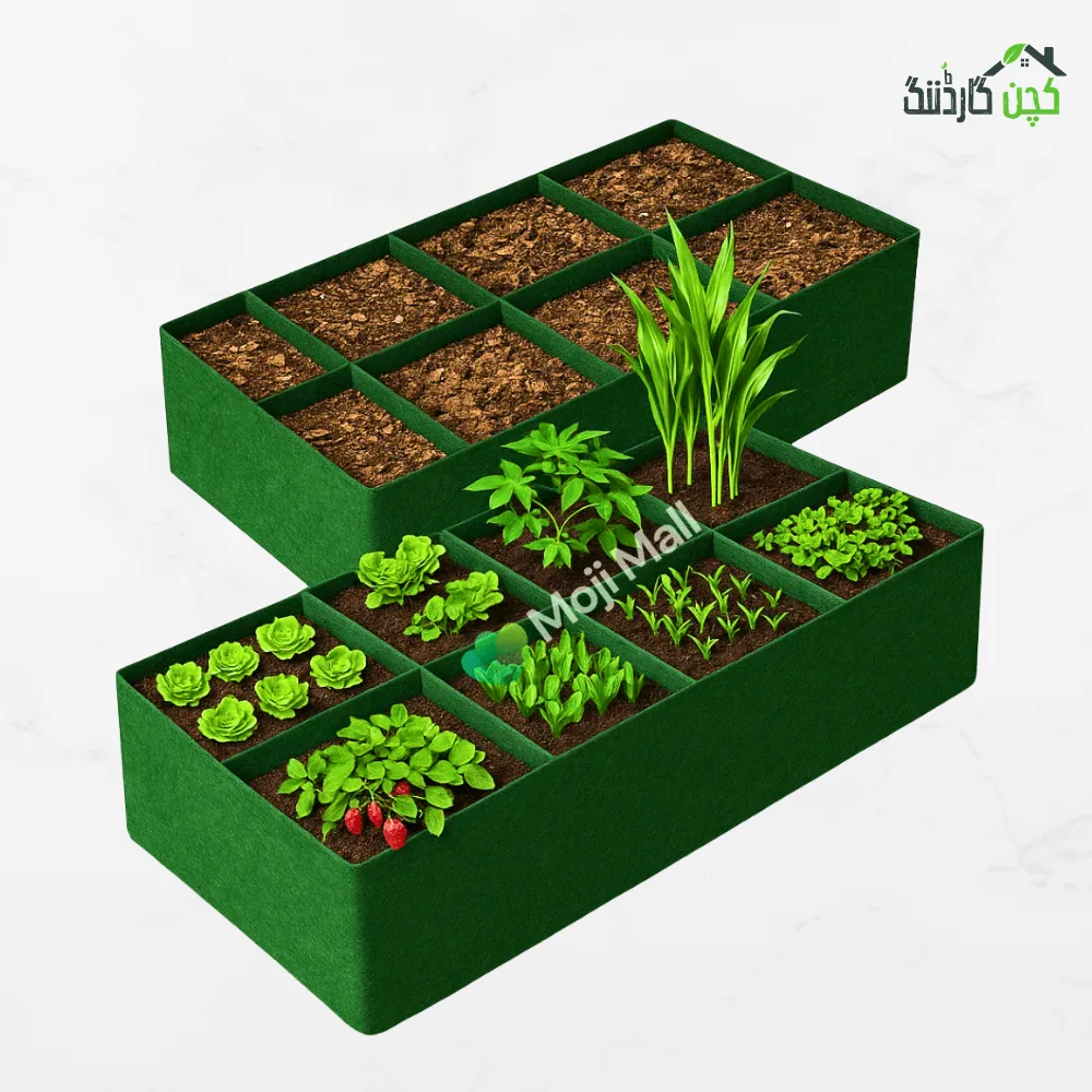 Kiyari Grow Bag