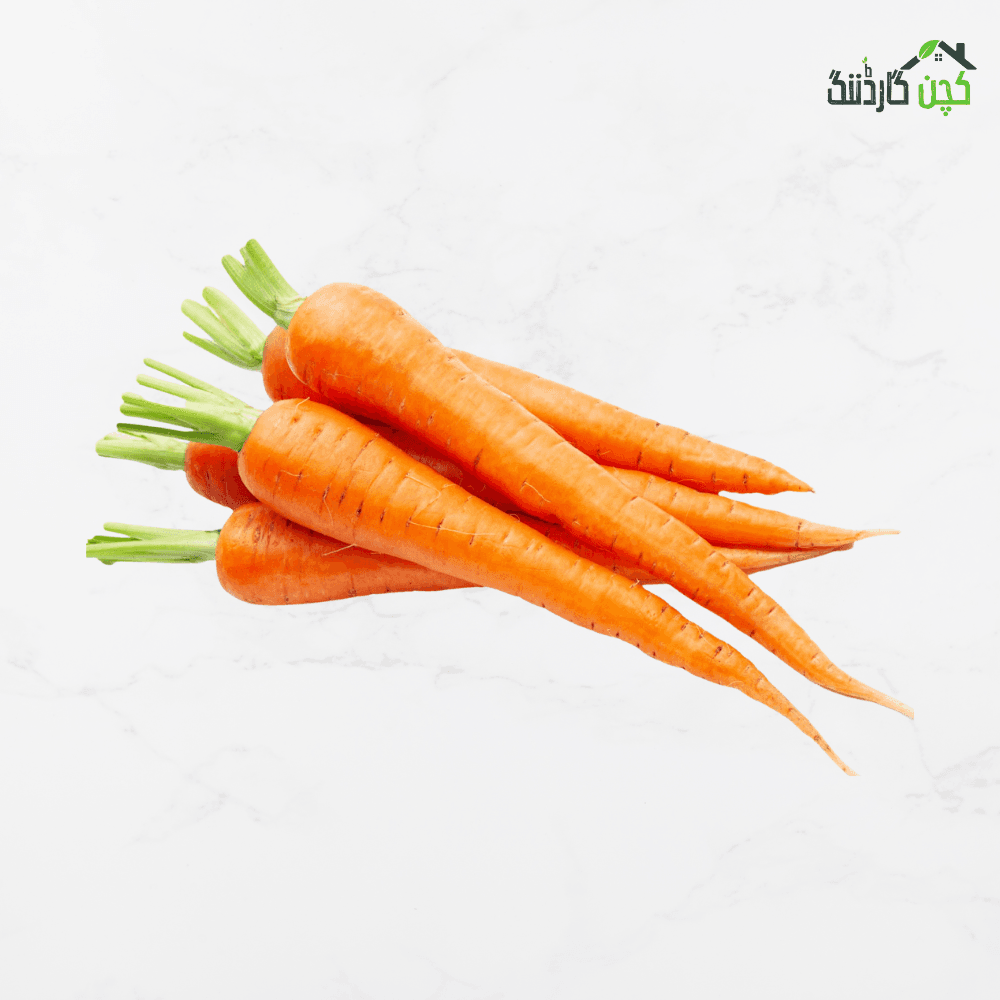 China Carrot Seeds