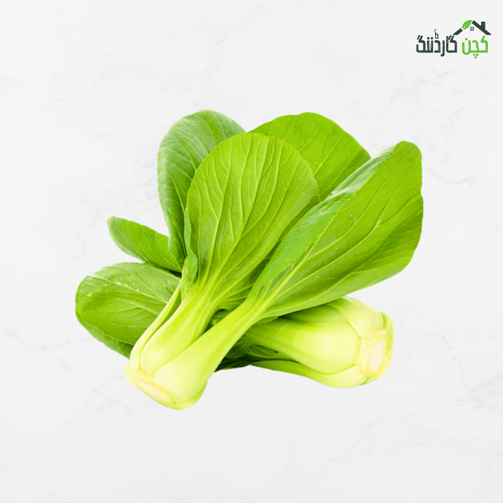 Pak Choi