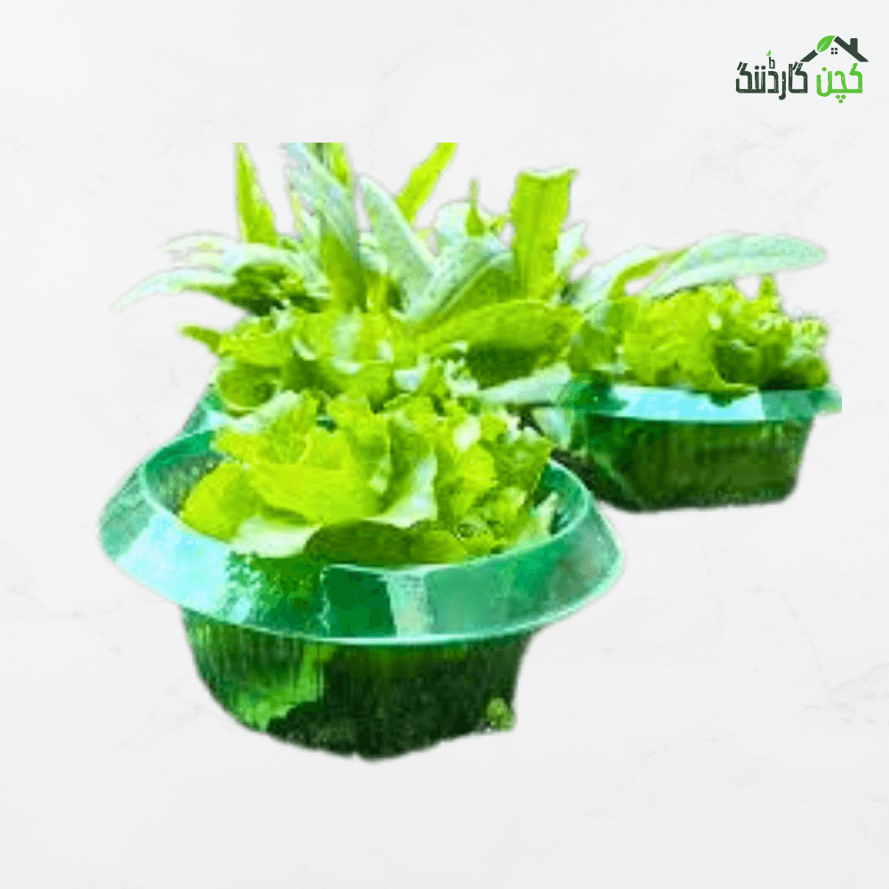 Plant Protection Collars – Buy Sturdy Support for Strawberries Online | Perfect for Modern Gardens | kitchengardening.pk (5pcs)