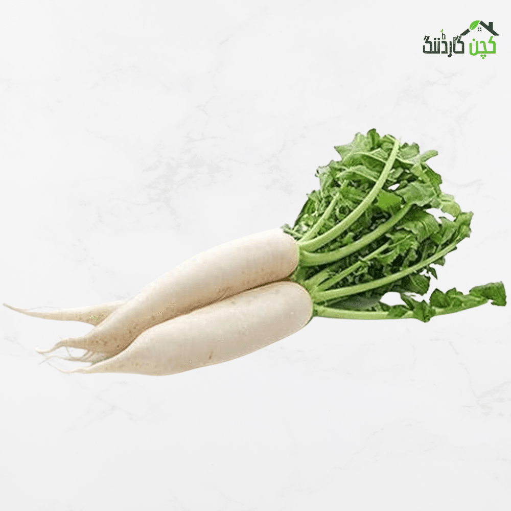 RADISH