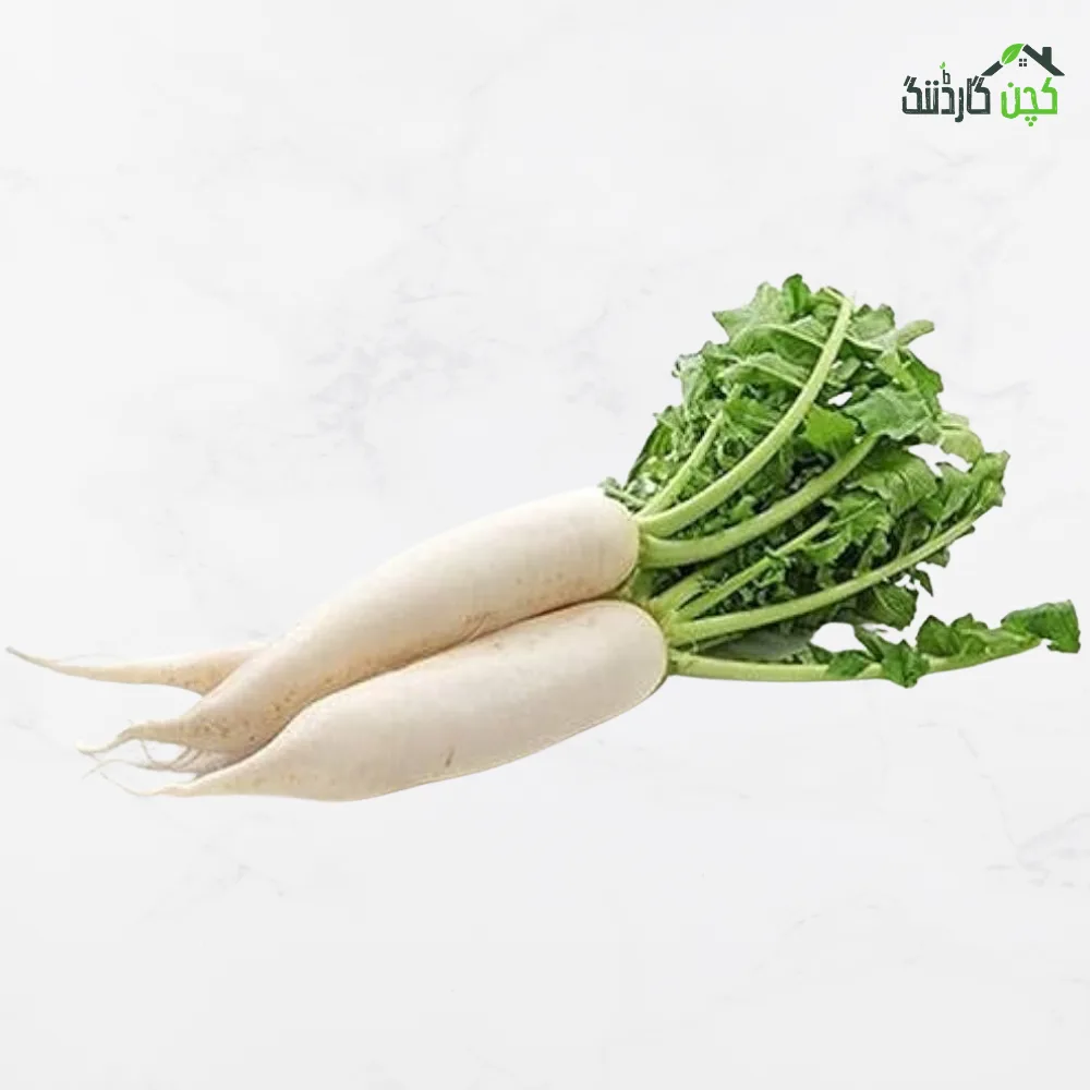 RADISH