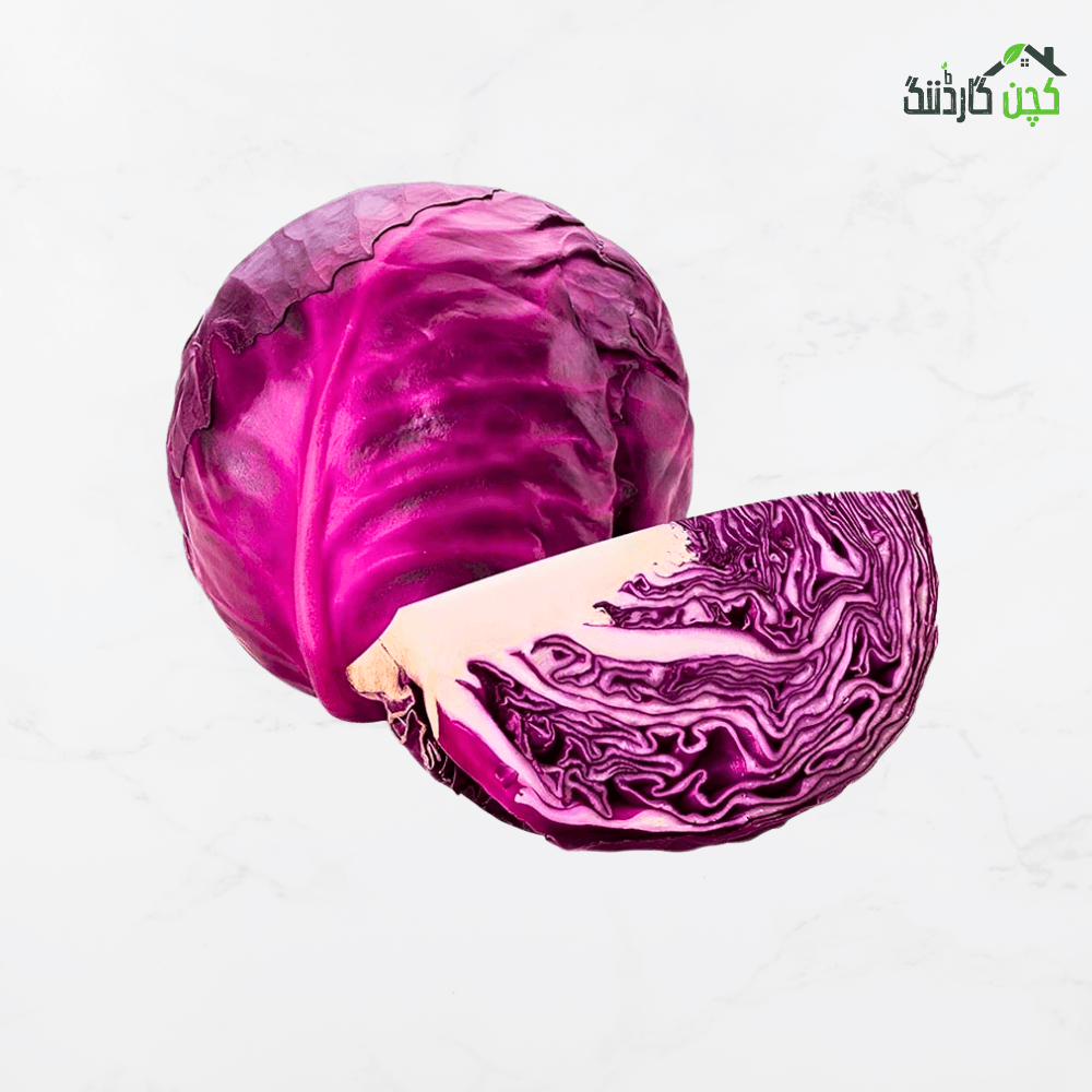 Red Cabbage