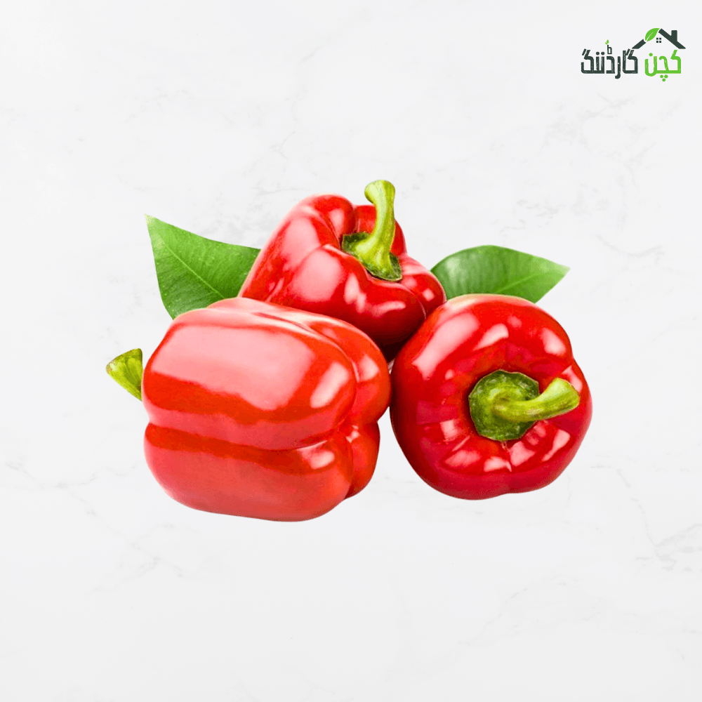 Red Capsicum