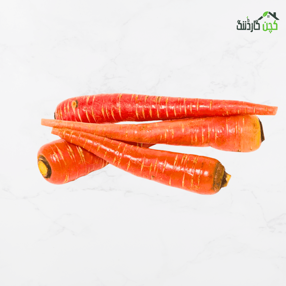 Red Carrot Seed