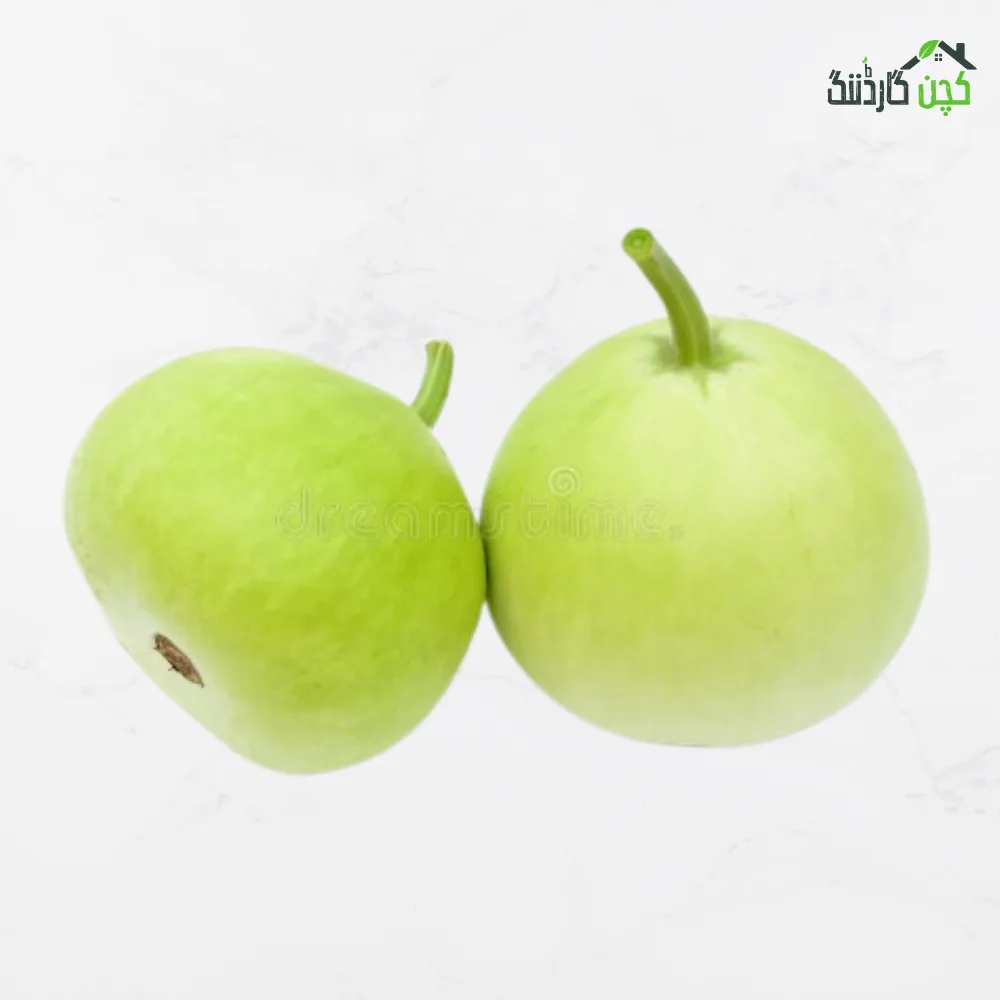 Round Green Gourd (Ghiyya Kadu) Seeds