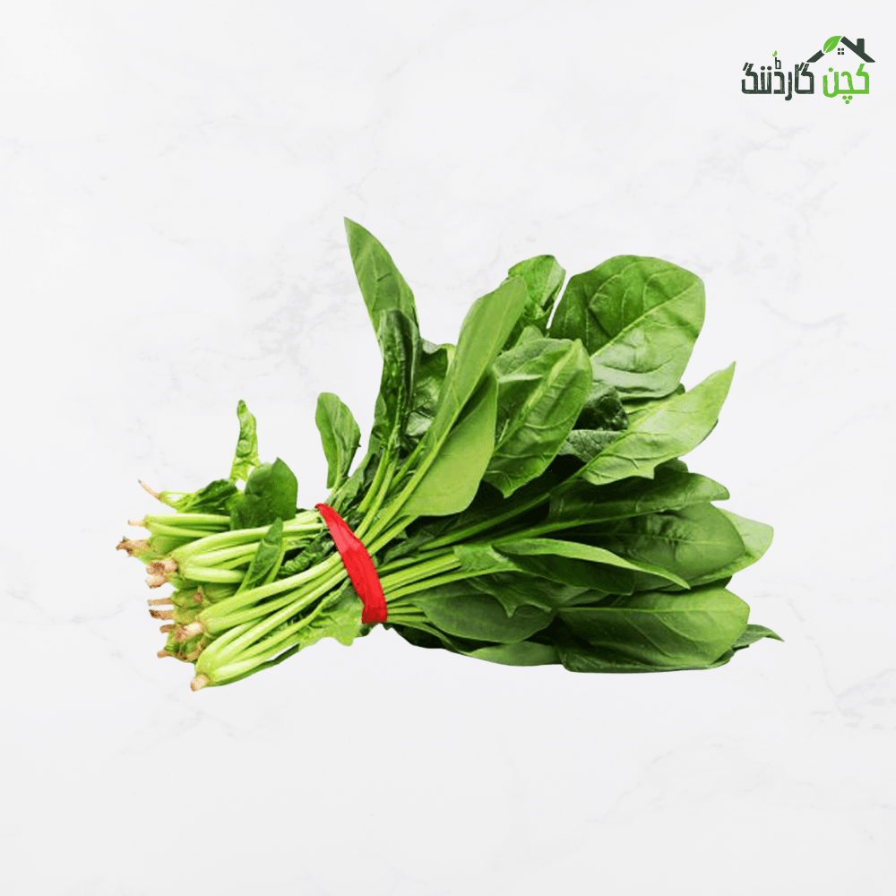 Palak / Spinach Seeds