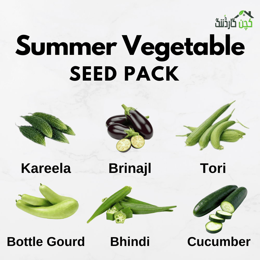 Summer Vegetables 6 Seed Pack – Buy Fresh & Healthy Seeds Online | kitchengardening.pk (25 Seeds / 50 Seeds / 100 Seeds)