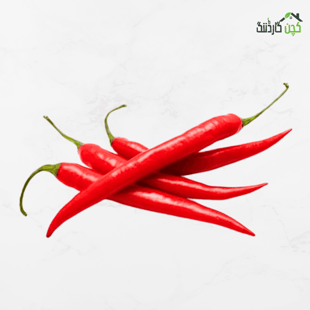Red Chili Pepper Seeds in Pakistan – Buy Flavorful Lal Mirch Online | kitchengardening.pk (25/50/100 Seeds)
