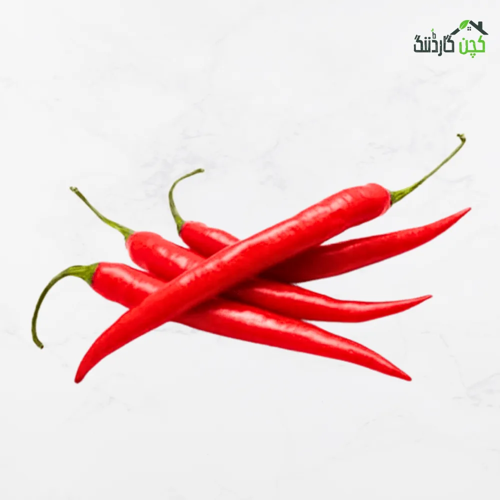 Red Chili Pepper