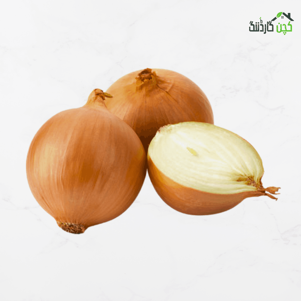 Yellow Onion seed