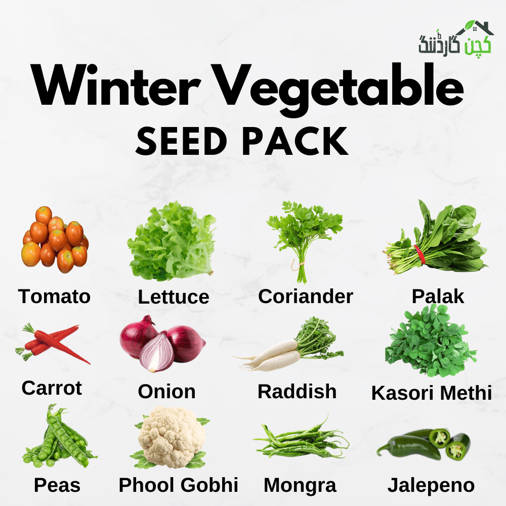 Winter Vegetables Seed Pack in Pakistan – 12 Seeds Buy Fresh Winter Vegetables Online | Perfect for Your Kitchen Garden | kitchengardening.pk (Pack Sizes: 25/50/100 Seeds)